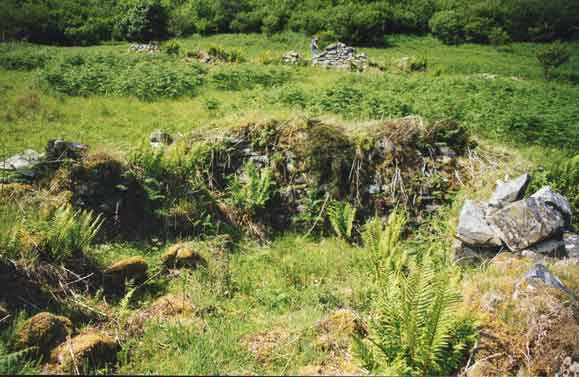 Cottage ruins