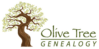 Olive Tree Genealogy